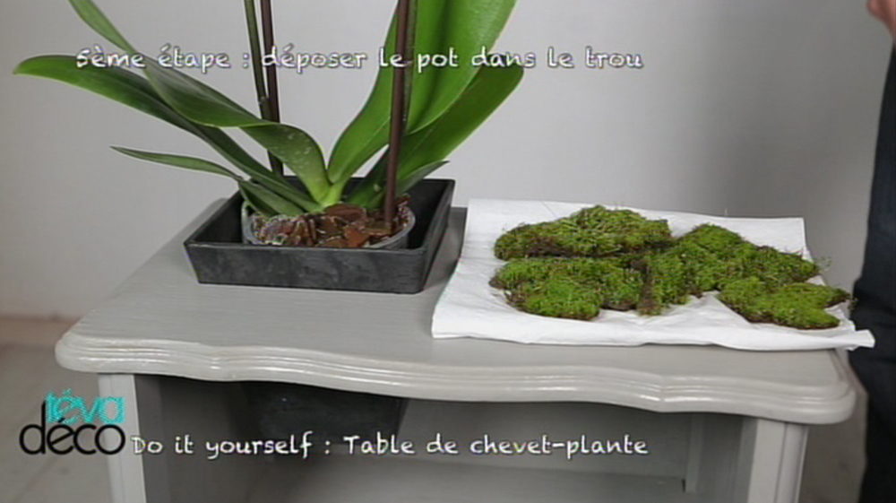 DIY – Table de chevet-plante