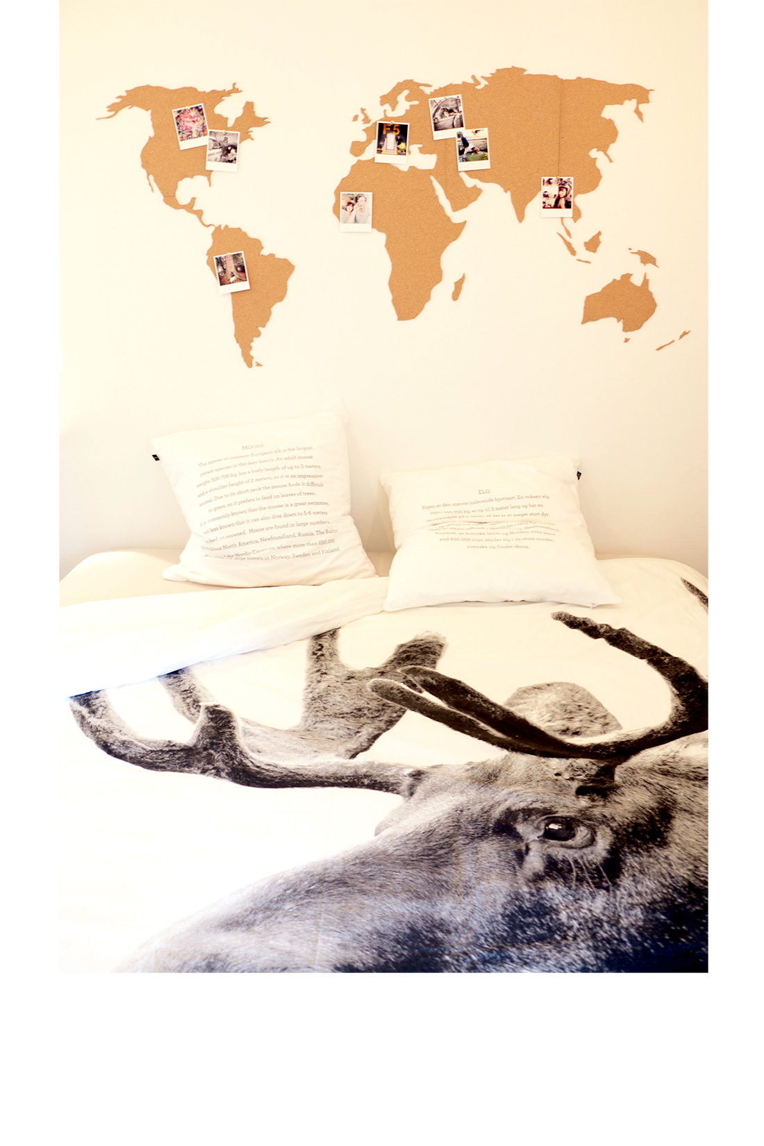 Chambre Globe-Trotter