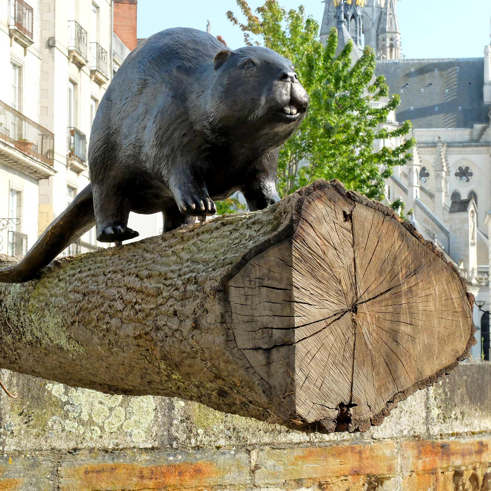 Balade en forêt